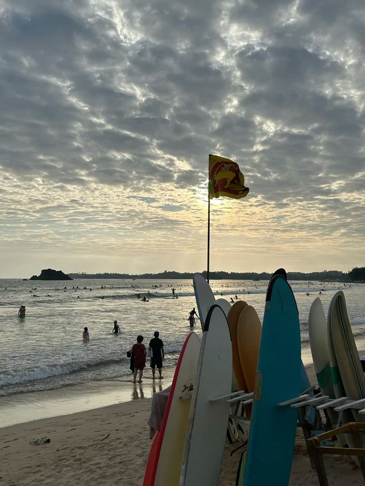 Island Surf School